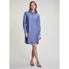 Fig Alexa Shirt Dress